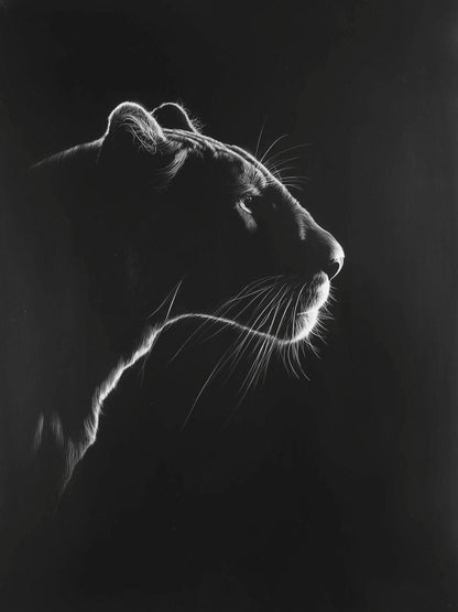 Animal 53 álló fő kép