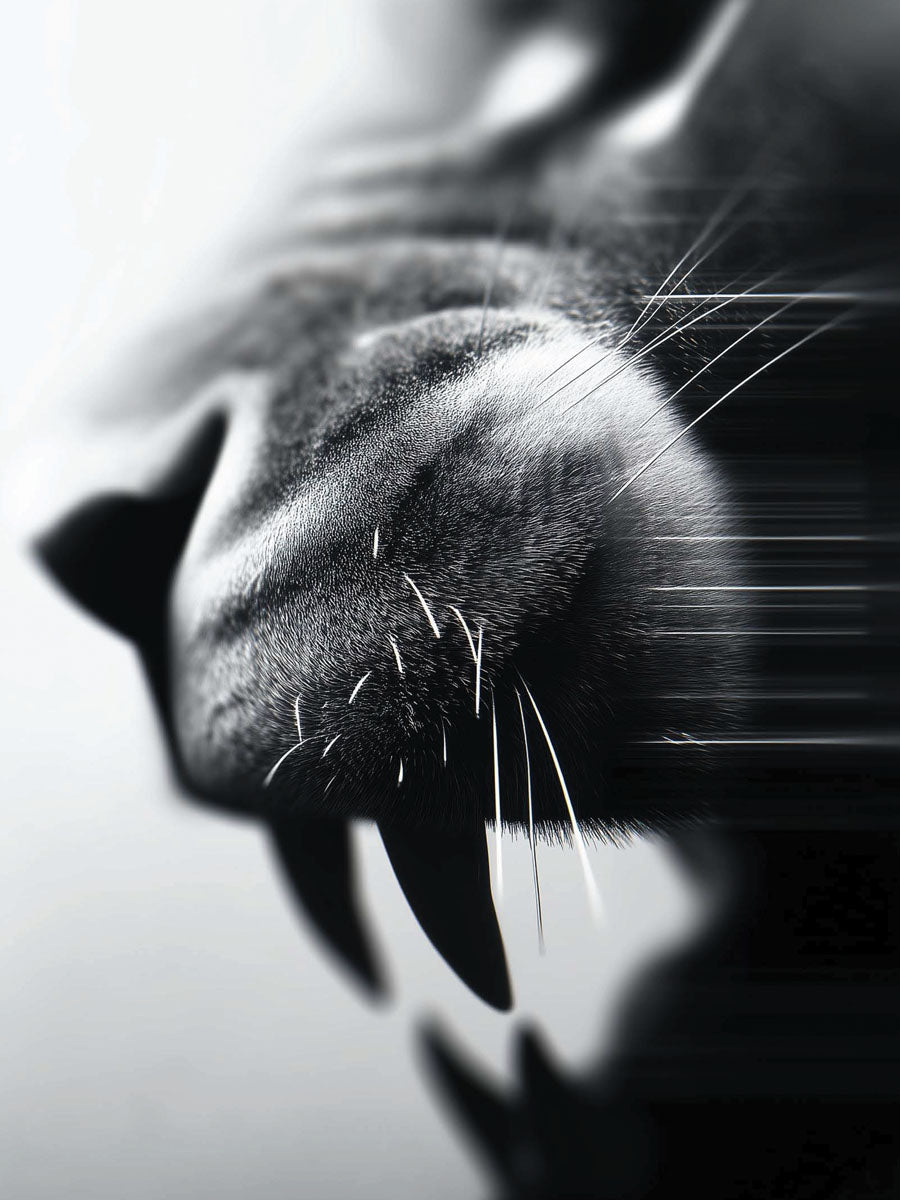 Animal 55 álló fő kép