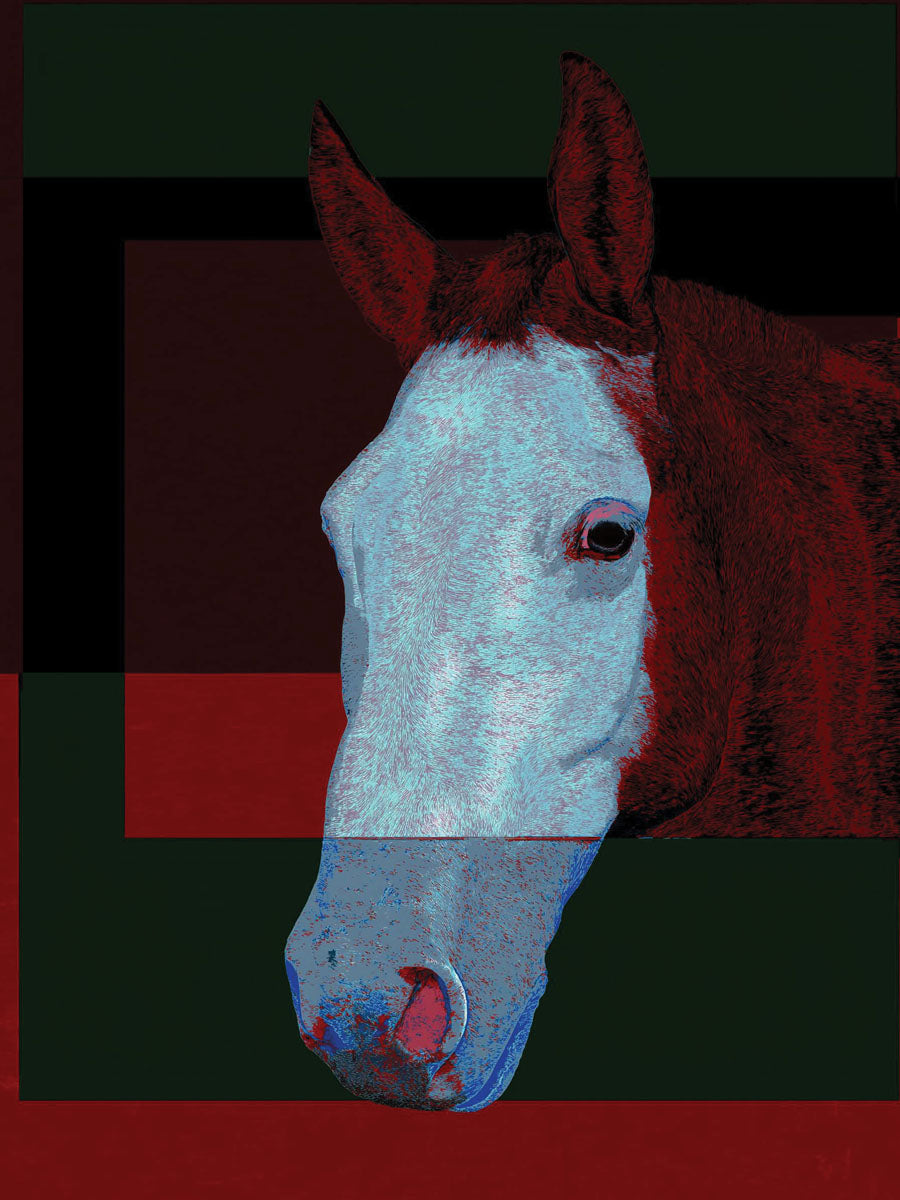 Animal 65 álló fő kép