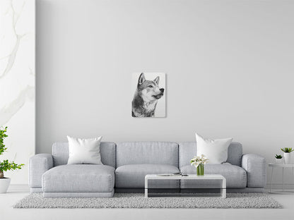 Animal 66 álló enteriőr nézet