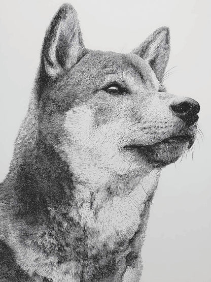 Animal 66 álló fő kép