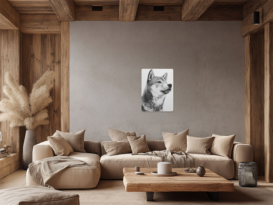 Animal 66 álló enteriőr nézet