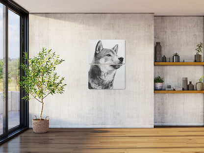 Animal 66 álló enteriőr nézet