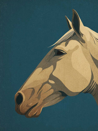 Animal 72 álló fő kép