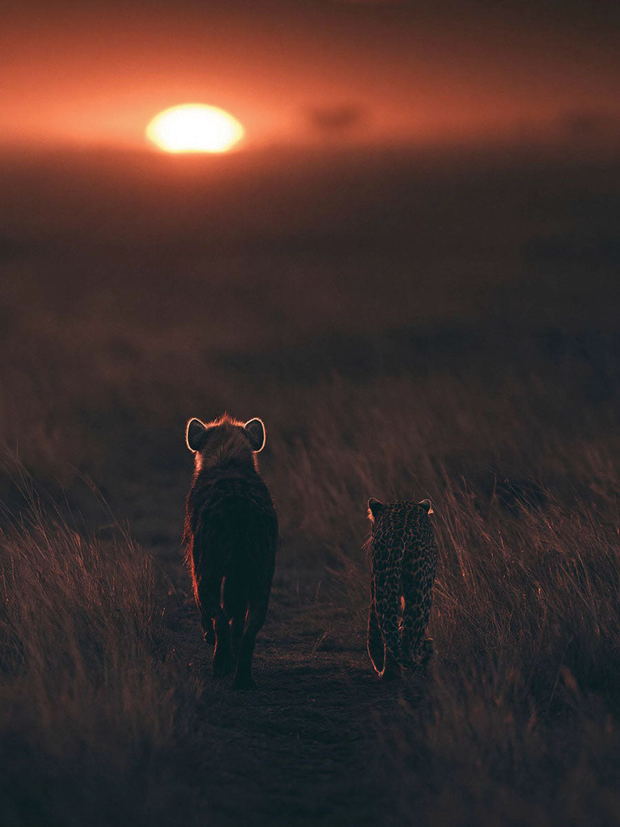 Animal 94 álló fő kép