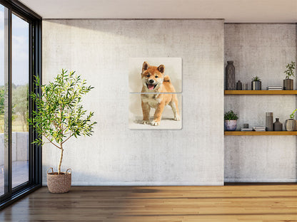 Animal 96 álló enteriőr nézet