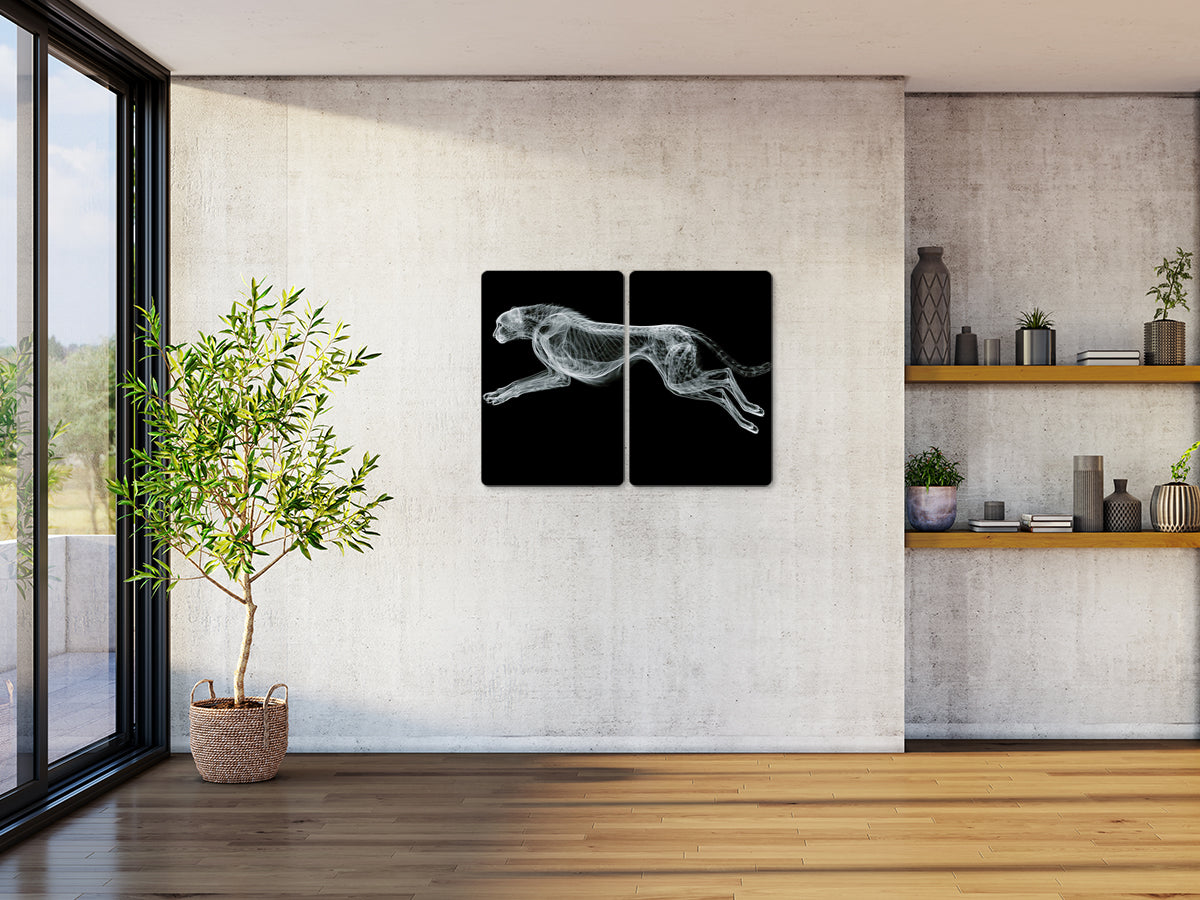 Animal 179 fekvő enteriőr nézet