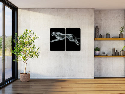 Animal 179 fekvő enteriőr nézet