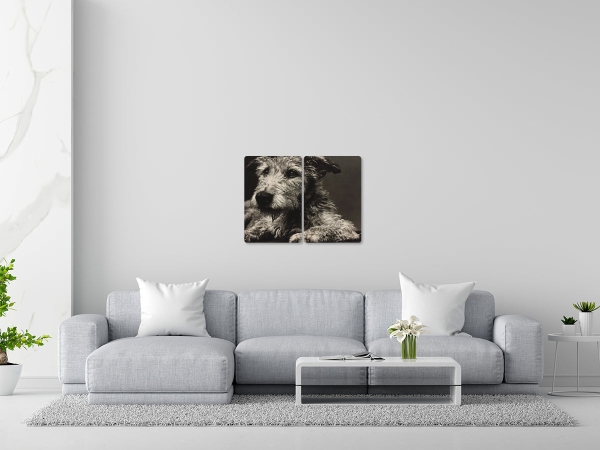 Animal 192 fekvő enteriőr nézet