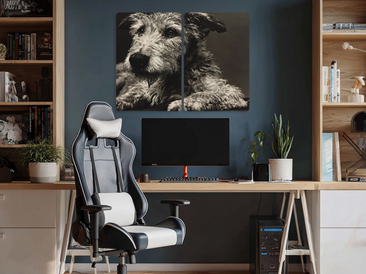 Animal 192 fekvő enteriőr nézet