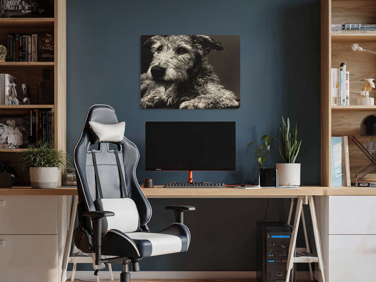 Animal 192 fekvő enteriőr nézet