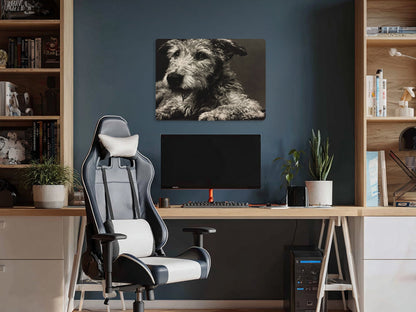 Animal 192 fekvő enteriőr nézet