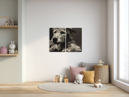 Animal 192 fekvő enteriőr nézet