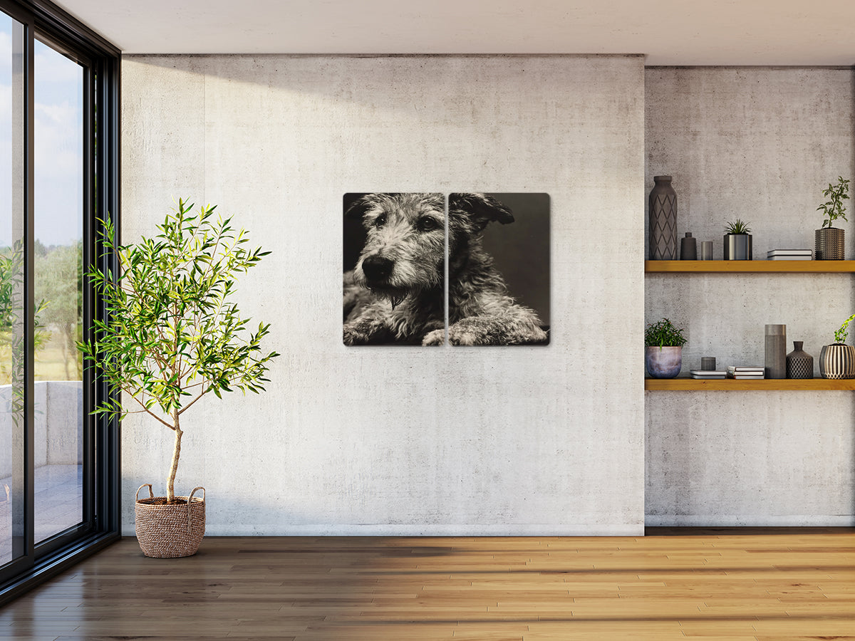 Animal 192 fekvő enteriőr nézet