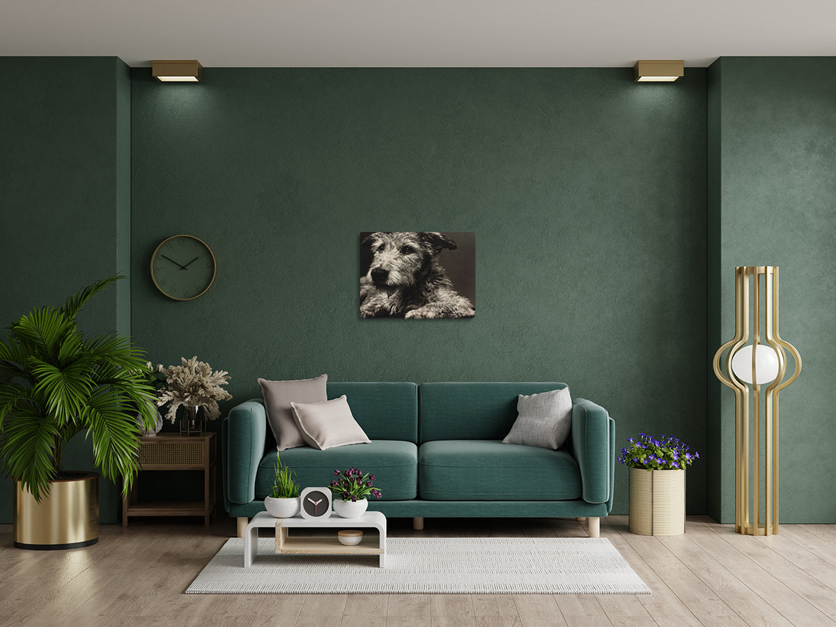 Animal 192 fekvő enteriőr nézet