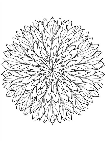 Coloring & Kids 40 álló fő kép