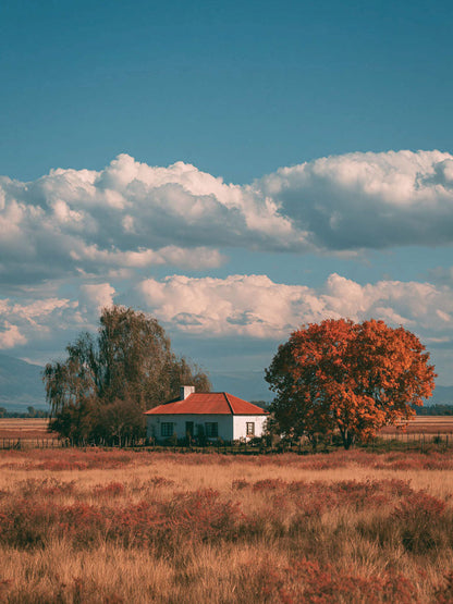 Hungary 19 álló fő kép